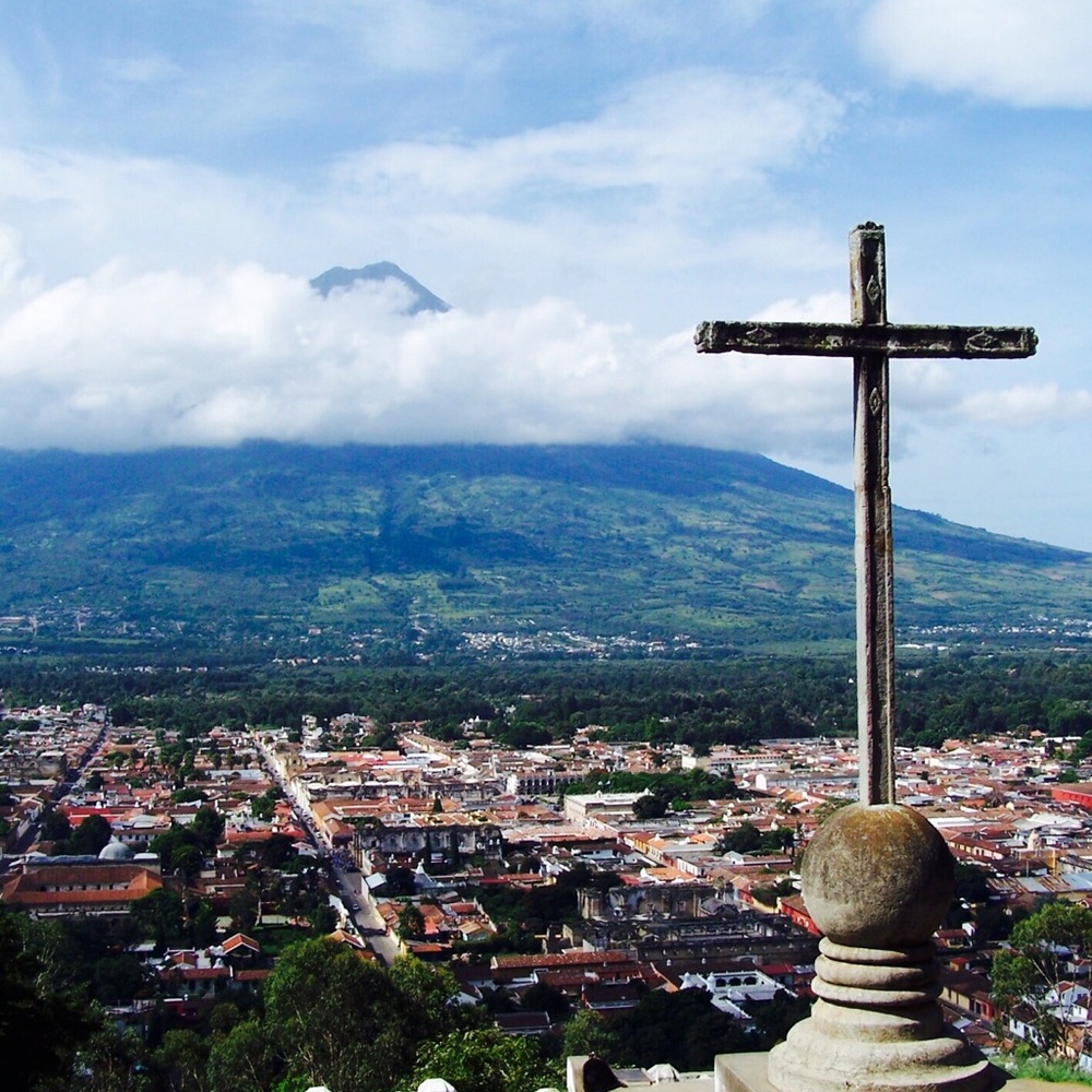 Meet your Posher, Regan